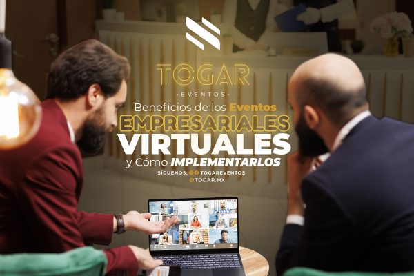 3 ARTICULO NOVIEMBRE TOGAR